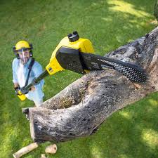 Best Hazardous Tree Removal  in Elmont, NY